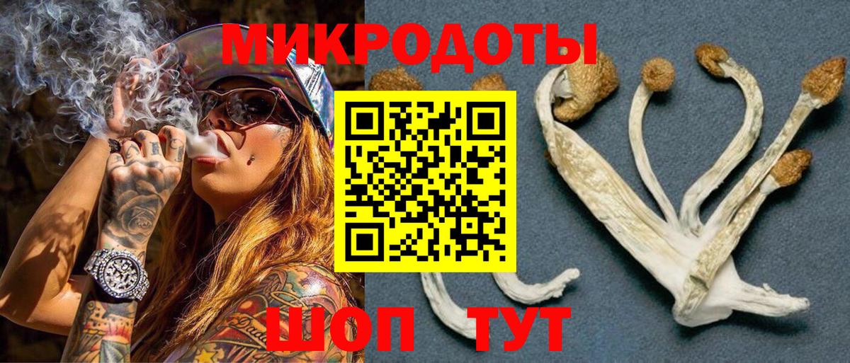 Псилоцибиновые грибы мухоморы Ессентуки