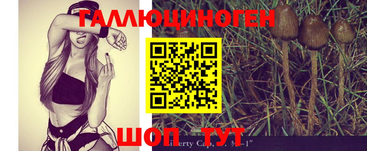 Ессентуки  дарнет шоп  Вход с VPN  Псилоцибиновые грибы Psilocybe 